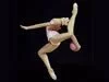 Try Gymnastics