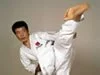 Try Karate
