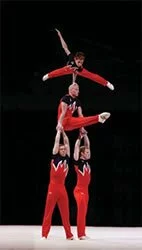 Mens gymnastics
