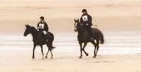 Le Trec, Eventing,  Show Jumping, Dressage, Horseball, Polo, 