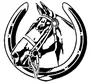 British Horse Society BHS