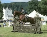 British  Horse Society (BHS) Approved Riding Schools.
