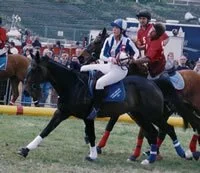 Horseball Rules and Background with Sports-1-Link