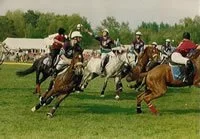 UK Horseball with Sports-1-Link