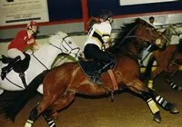Horseball UK with Sports-1-Link