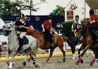 British Horseball with Sports-1-Link