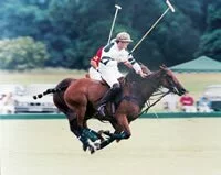 Play polo UK