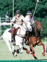 UK polo